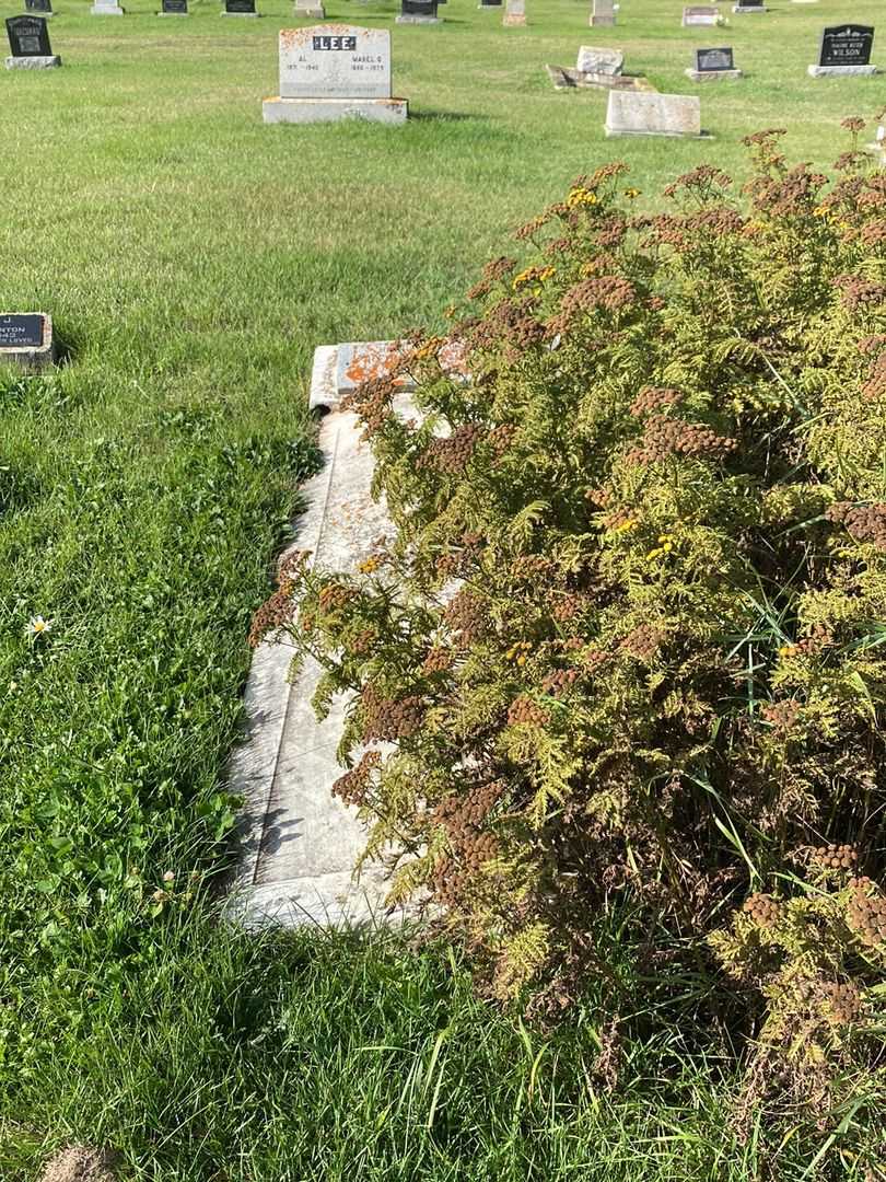 Robert Jamison's grave. Photo 2