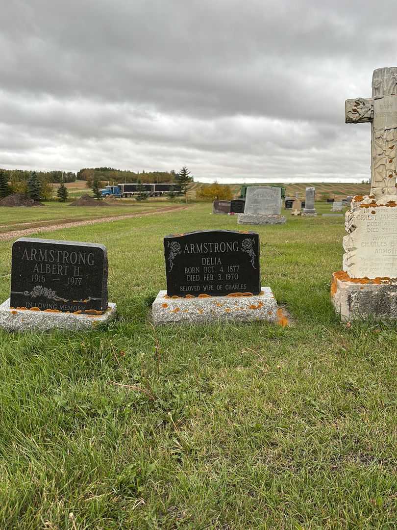 Delia Armstrong's grave. Photo 2