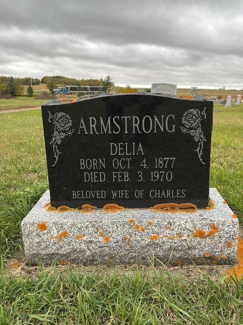 Delia Armstrong's grave. Photo 3