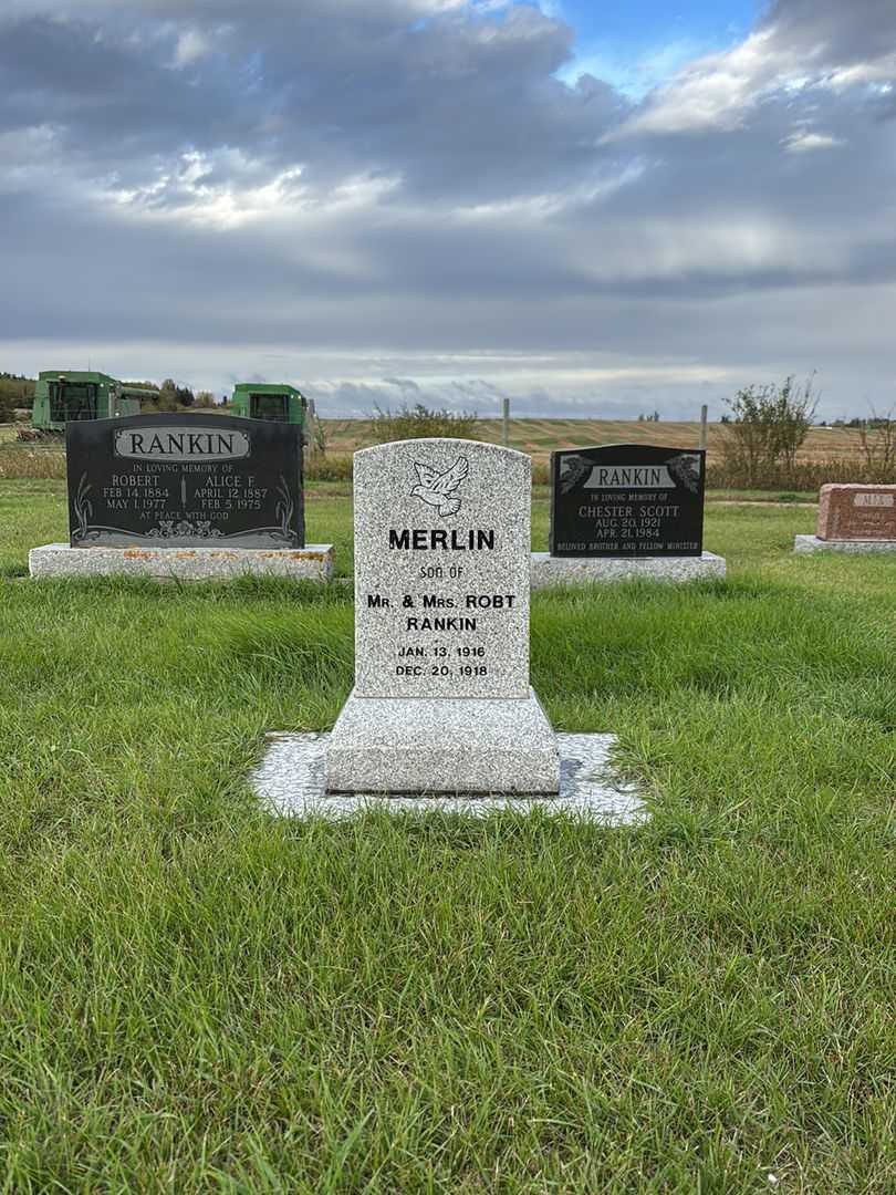 Martin Robert "Merlin" Rankin's grave. Photo 2