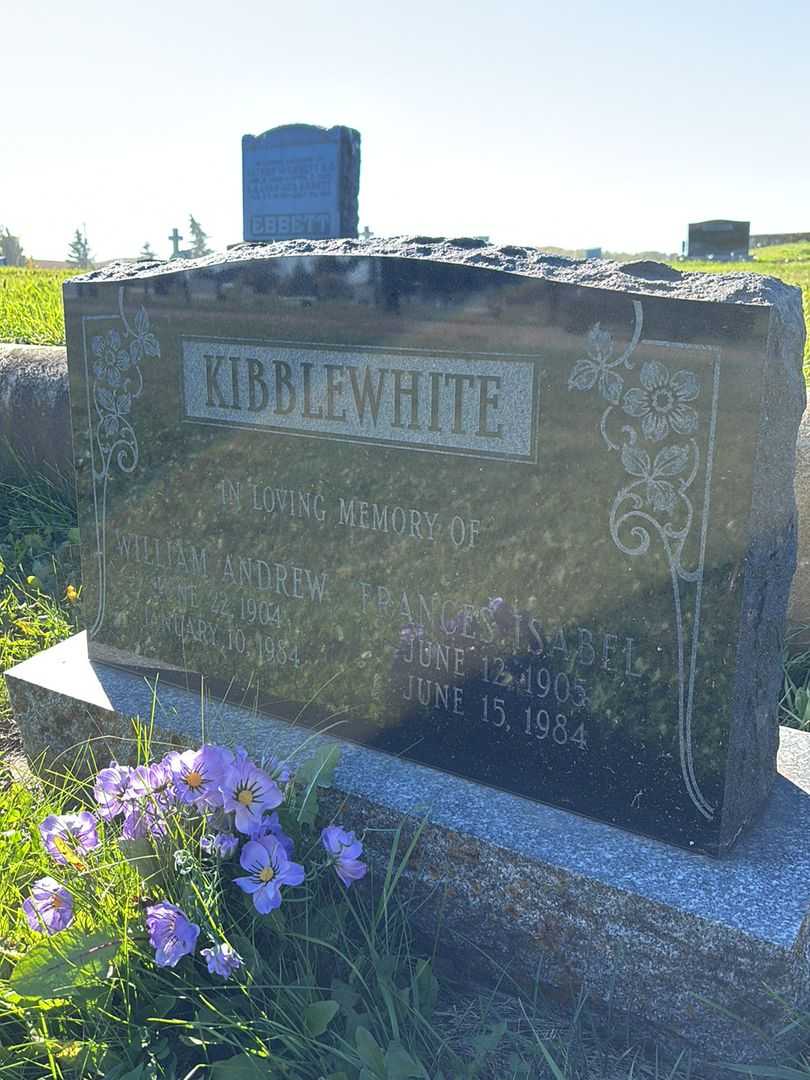 William Andrew Kibblewhite's grave. Photo 3