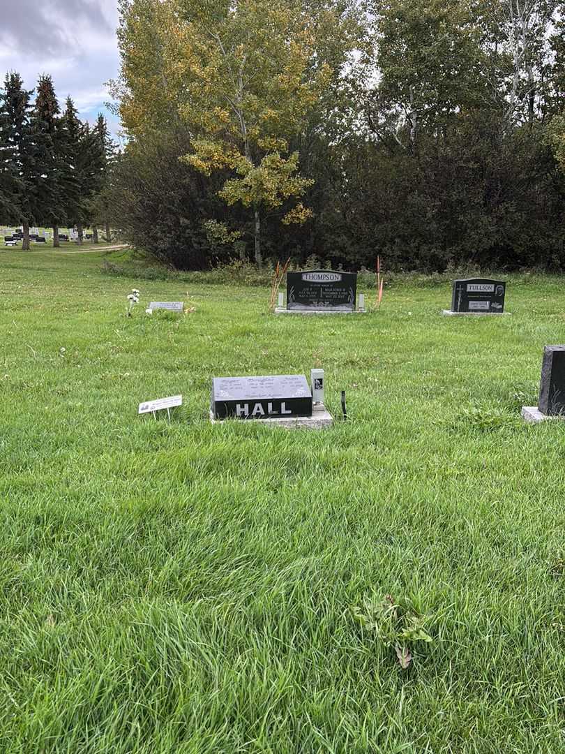 Douglas Alan Clark Hall's grave. Photo 2