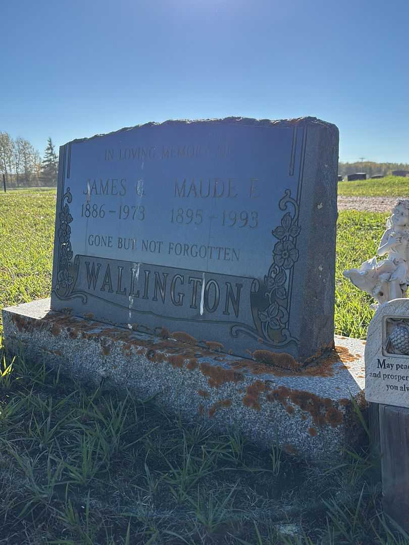 Maude Ethel Wallington's grave. Photo 1