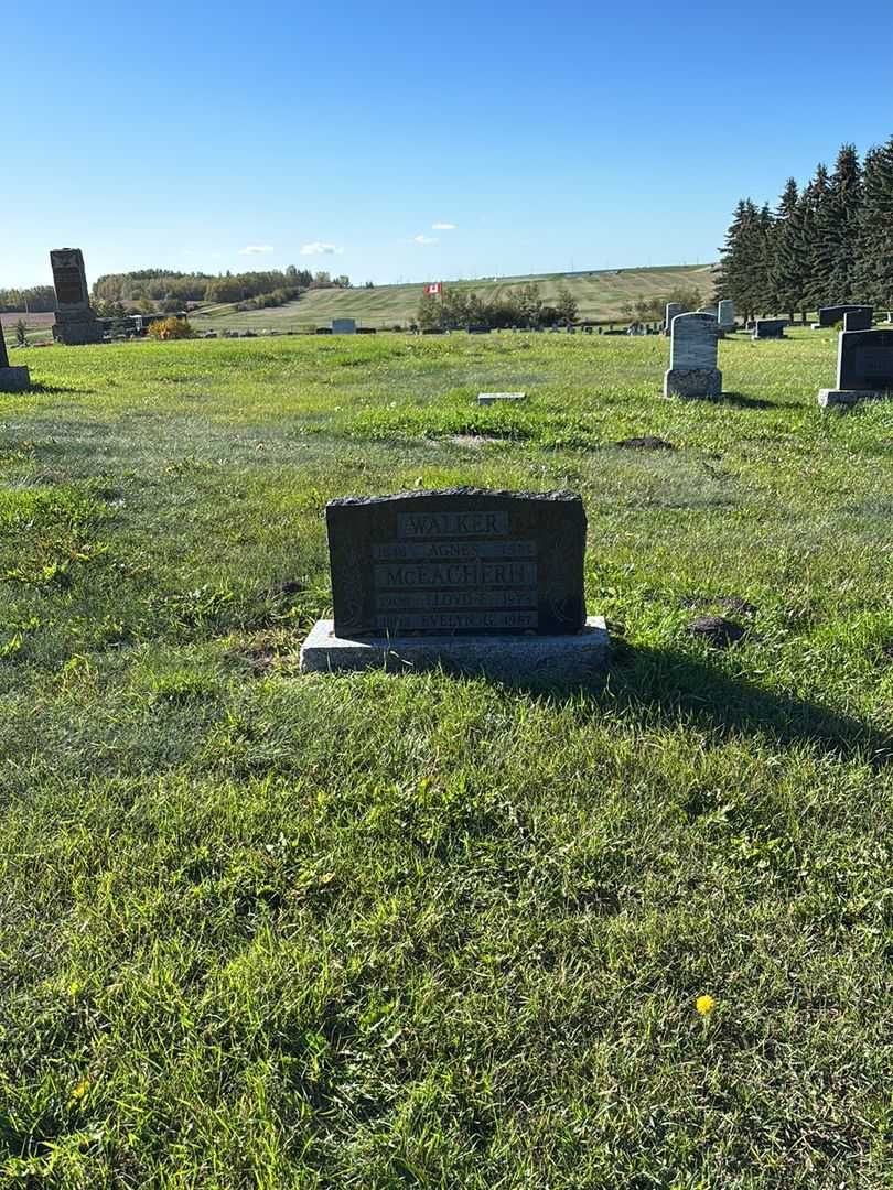 Agnes Walker's grave. Photo 2