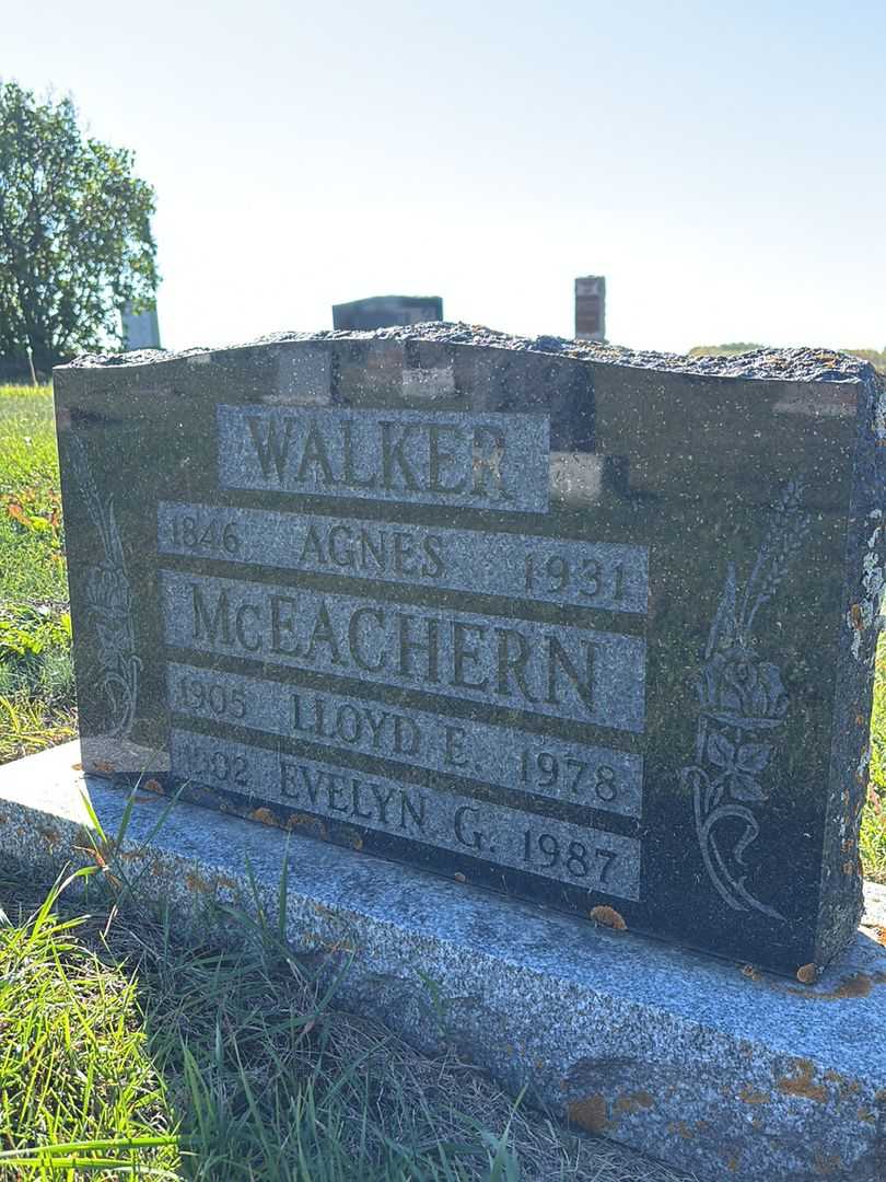 Agnes Walker's grave. Photo 1