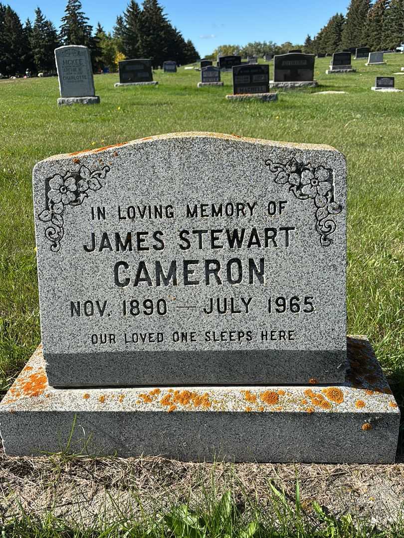 James Stewart Cameron's grave. Photo 1