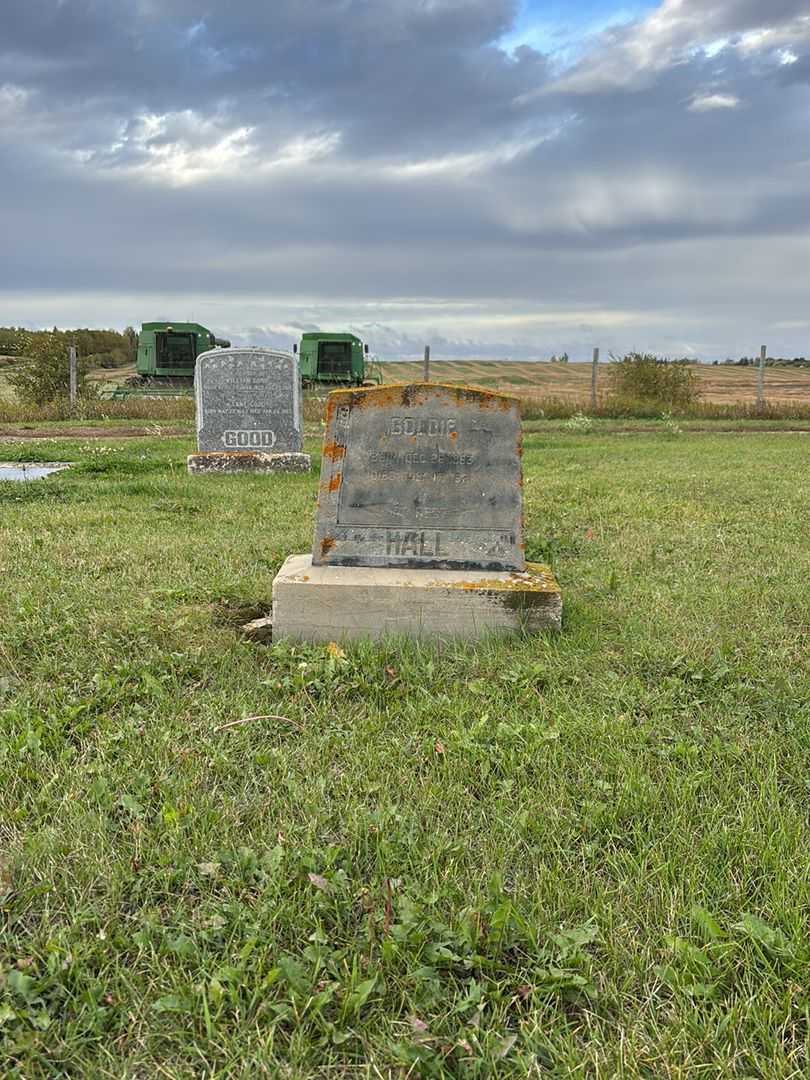 Goldie Fay Hall's grave. Photo 2