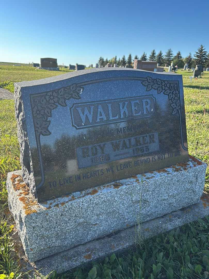 Roy Walker's grave. Photo 1