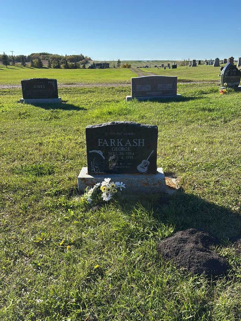 George Farkash's grave. Photo 2