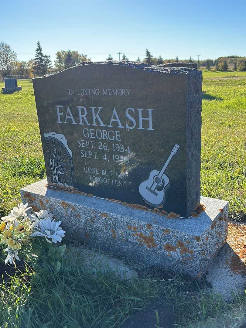 George Farkash's grave. Photo 1
