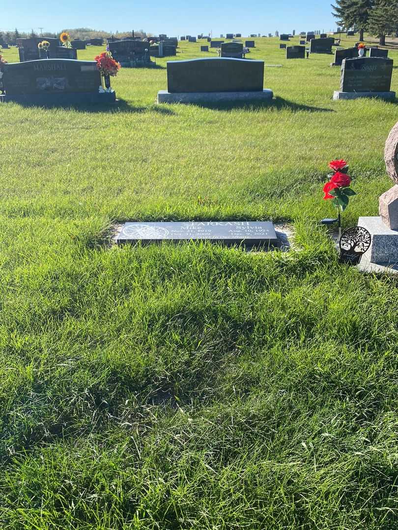 Sylvia Irene Farkash's grave. Photo 2