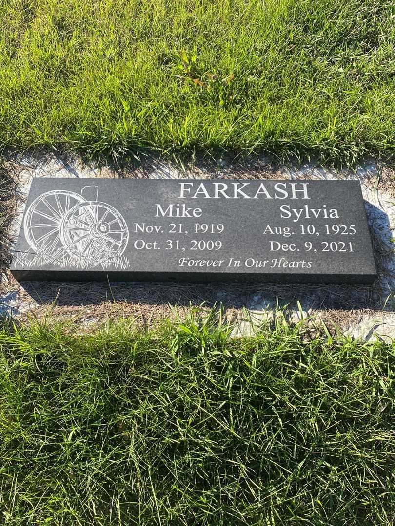 Sylvia Irene Farkash's grave. Photo 1