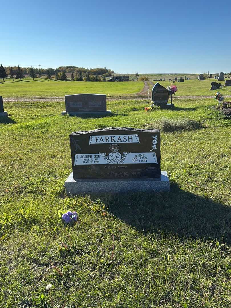 Joseph "Joe" Farkash's grave. Photo 2