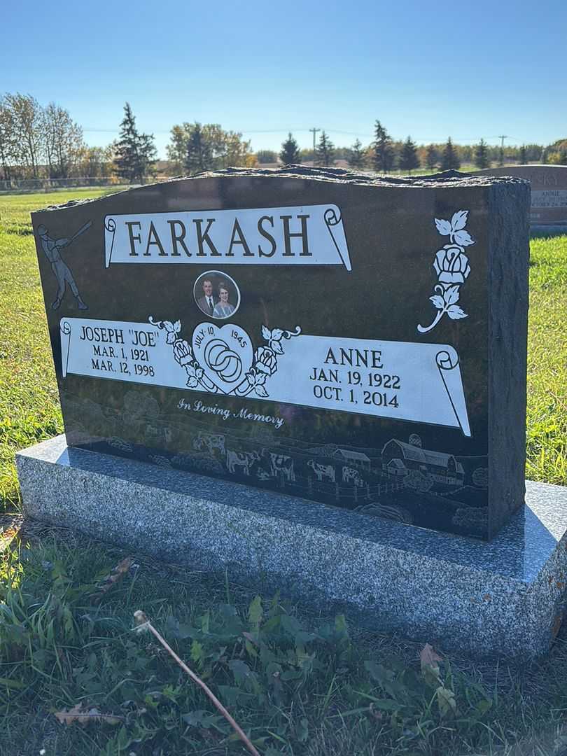 Joseph "Joe" Farkash's grave. Photo 1