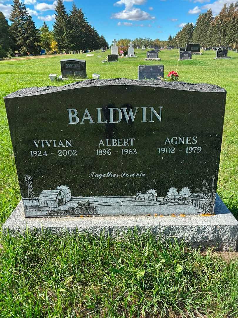 Albert Baldwin's grave. Photo 1
