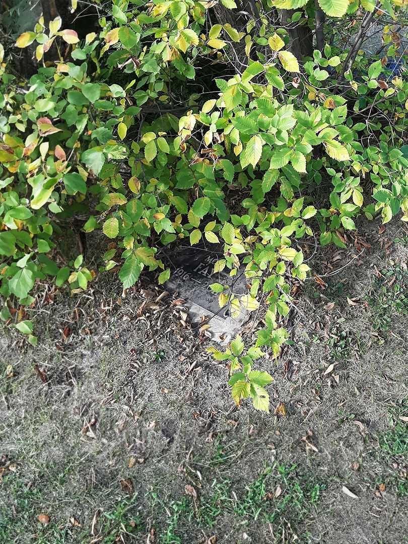 Gordon Alexander Park's grave. Photo 2