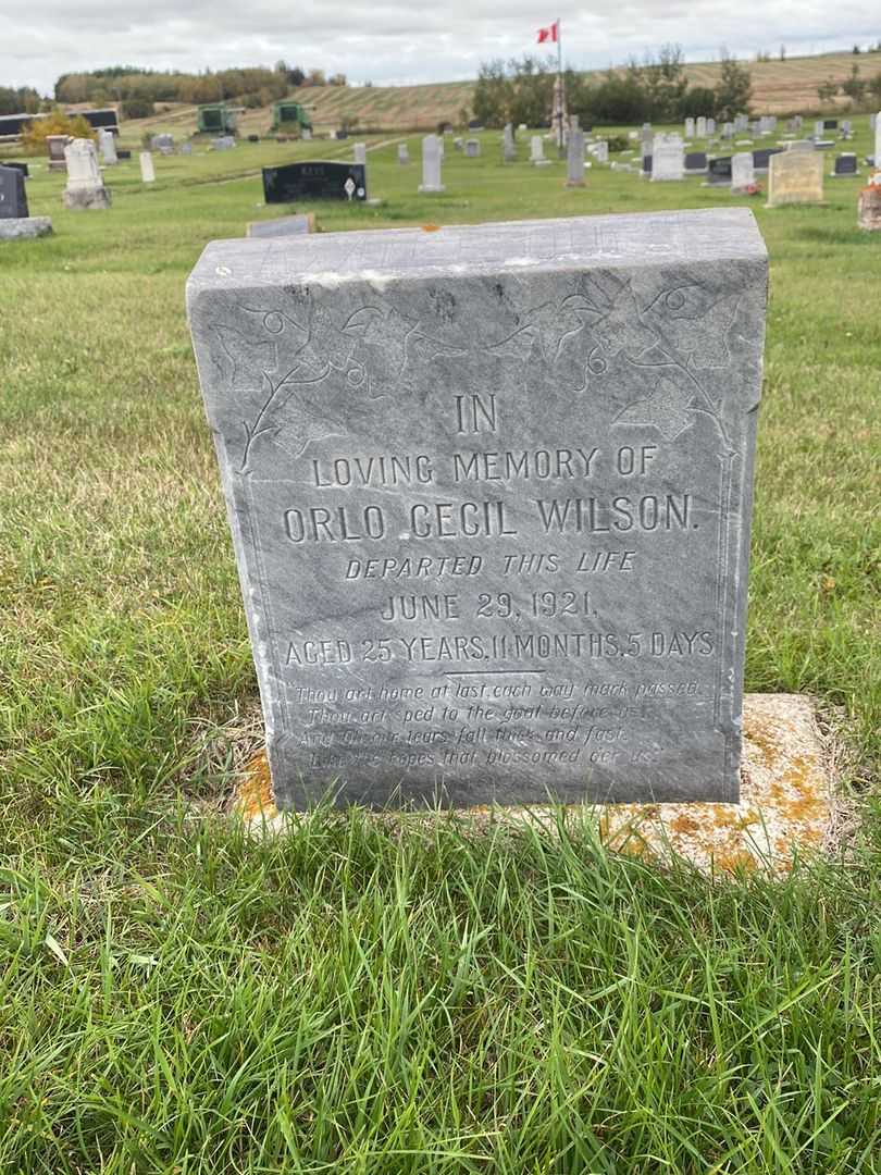 Cecil Edwards's grave
