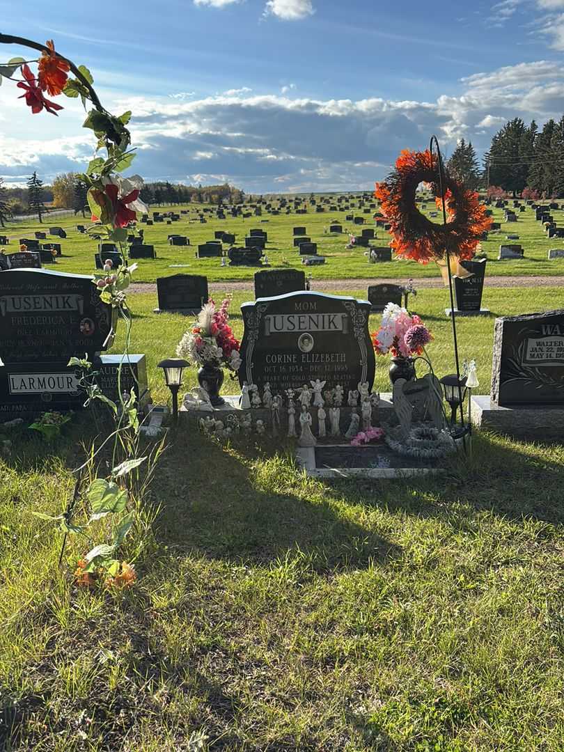 Brenda Lee Usenik Stoltz's grave. Photo 2