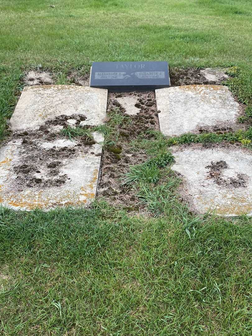 Alexander E. Taylor's grave. Photo 2