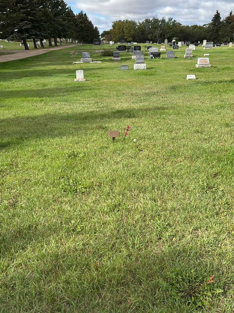 David Warren Ilchuk's grave. Photo 2