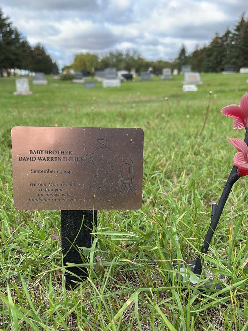 David Warren Ilchuk's grave. Photo 1