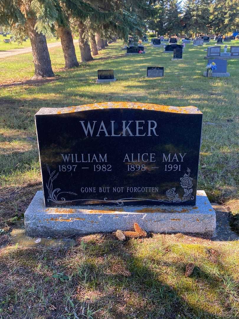 Alice May Walker's grave. Photo 1