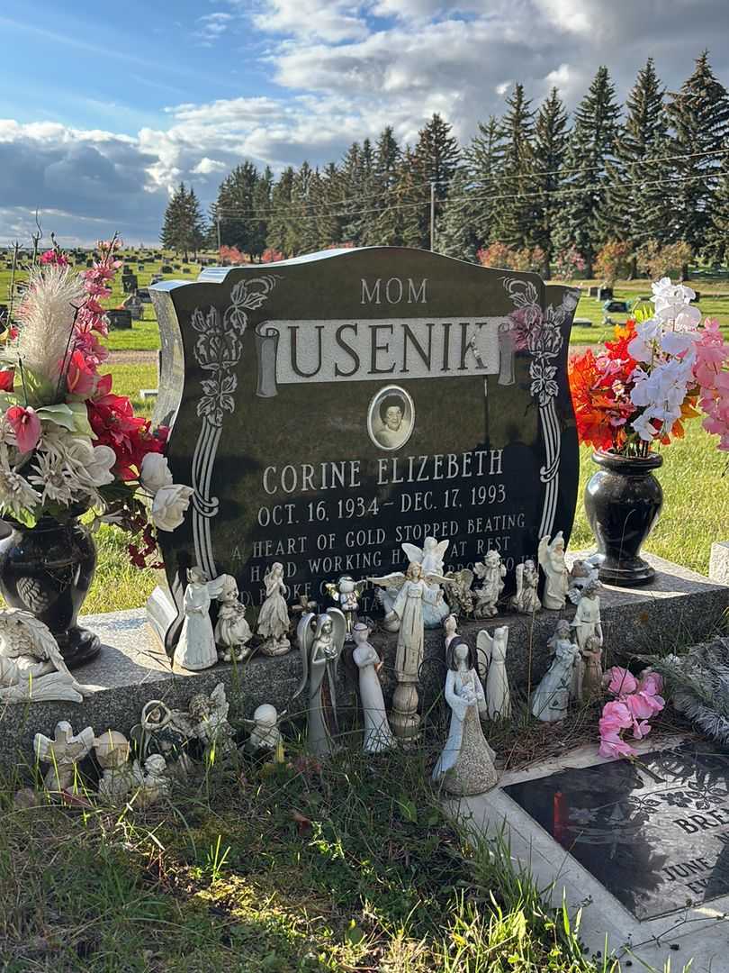 Brenda Lee Usenik Stoltz's grave. Photo 1