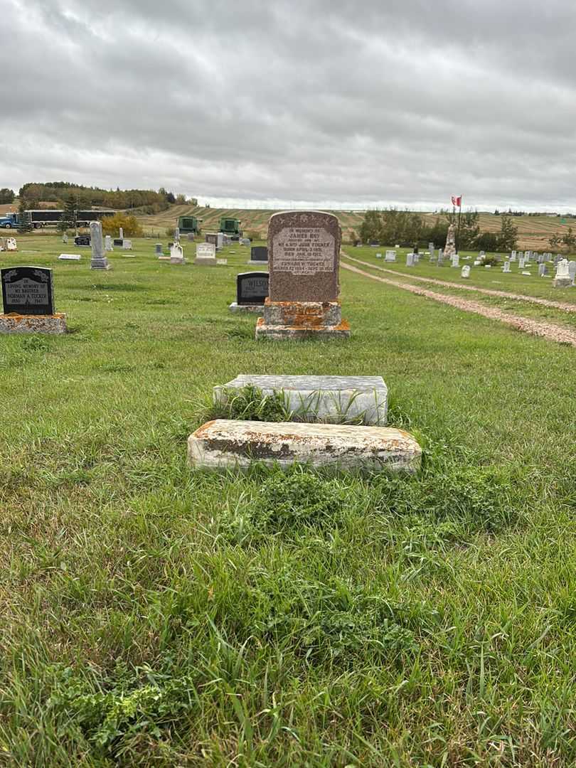 George Washington Wallace's grave. Photo 2