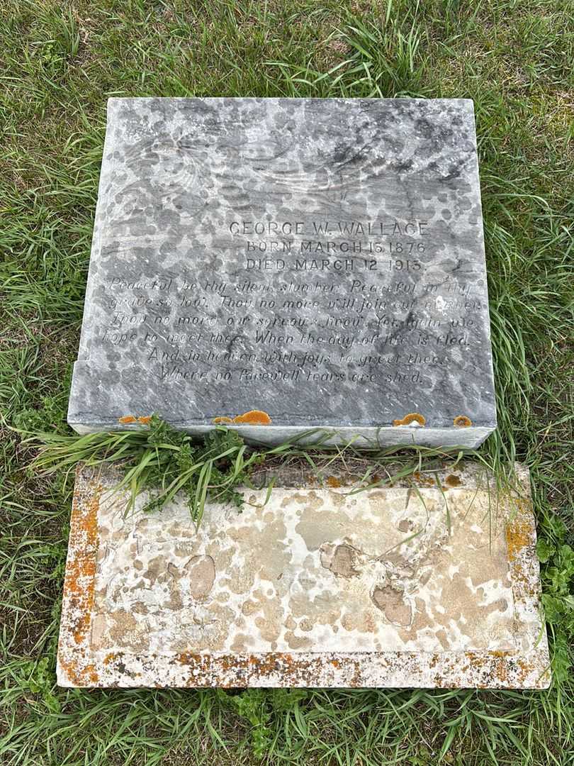 George Washington Wallace's grave. Photo 3