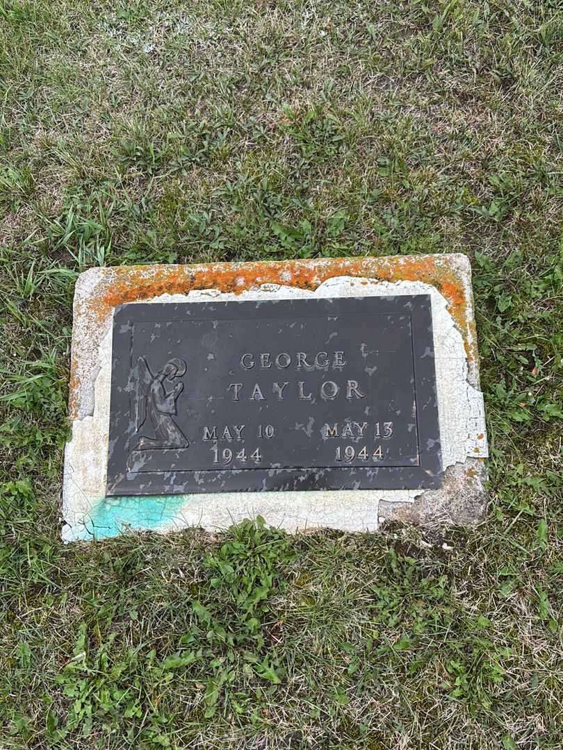 George Taylor's grave. Photo 1