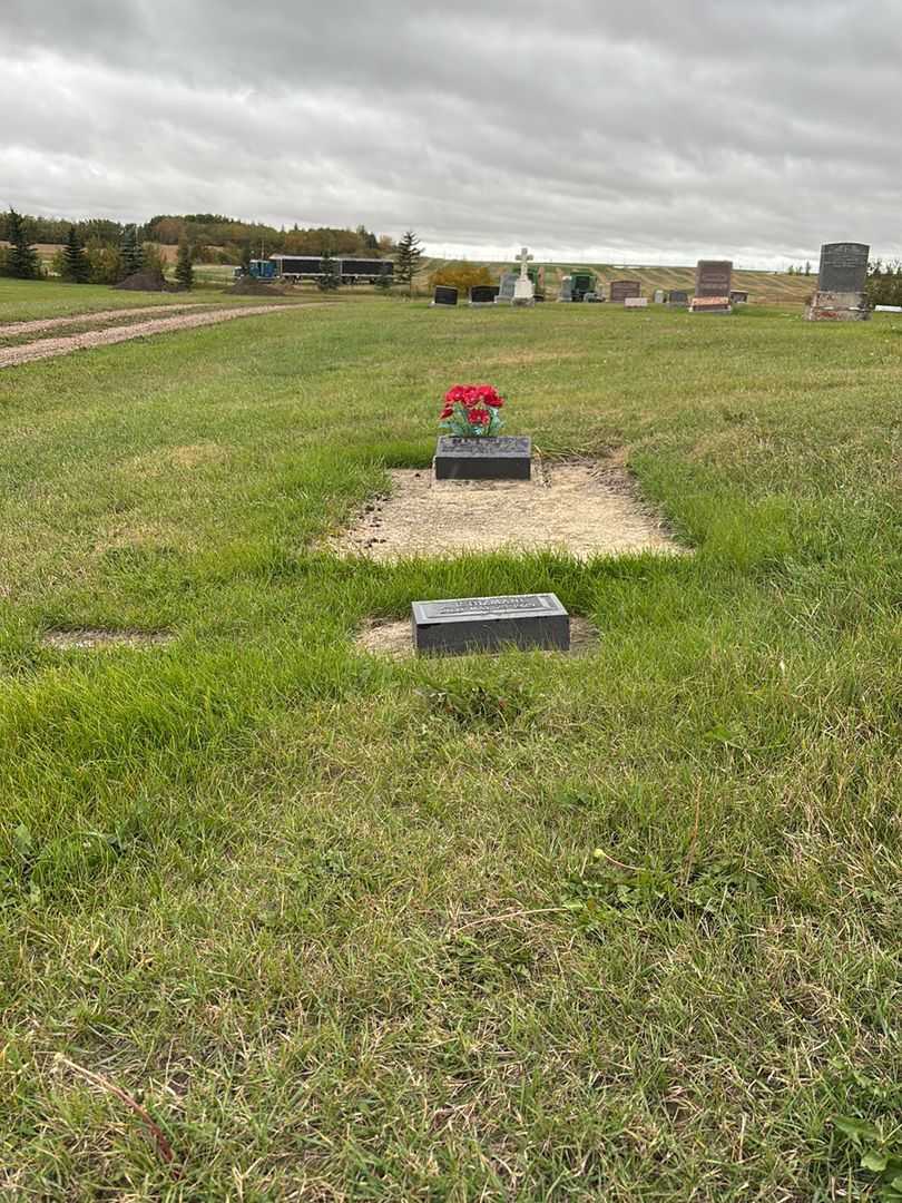Lee R. Dizmang's grave. Photo 2